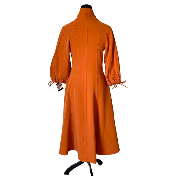 🎁 The RAETRUDA Rust Tie Accent Dress - Picture 12 of 14